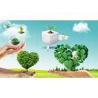 环保(其他）专家